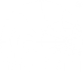 Wiran Sp. z o.o. Logo 2020